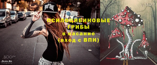 ECSTASY Покачи